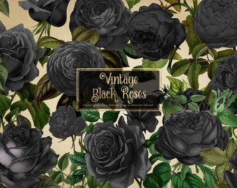 Vintage Black Rose Clipart, Gothic Floral PNG (Commercial Use)