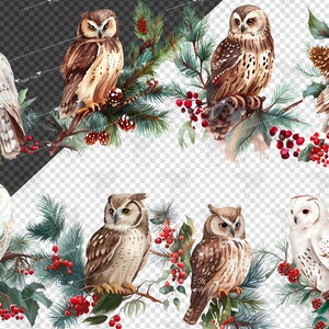 May include: A digital illustration of six owls perched on branches of pine trees with red berries. The owls are a mix of brown and white with different patterns. The branches are decorated with holly and pine cones.