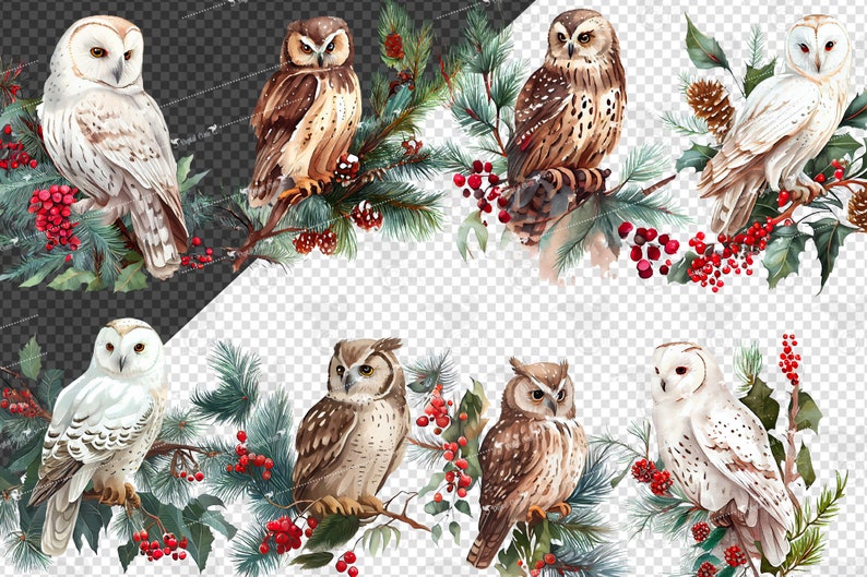 May include: A digital illustration of six owls perched on branches of pine trees with red berries. The owls are a mix of brown and white with different patterns. The branches are decorated with holly and pine cones.