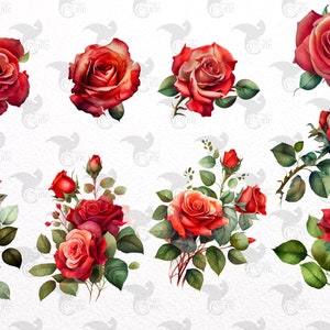 Watercolor Red Roses Clipart Roses and Leaves in PNG Format Instant ...