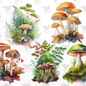 Op de afbeelding: Waterverf illustraties van verschillende paddenstoelen met verschillende gekleurde hoeden en stelen. De paddenstoelen zijn omringd door groene varens en bladeren.