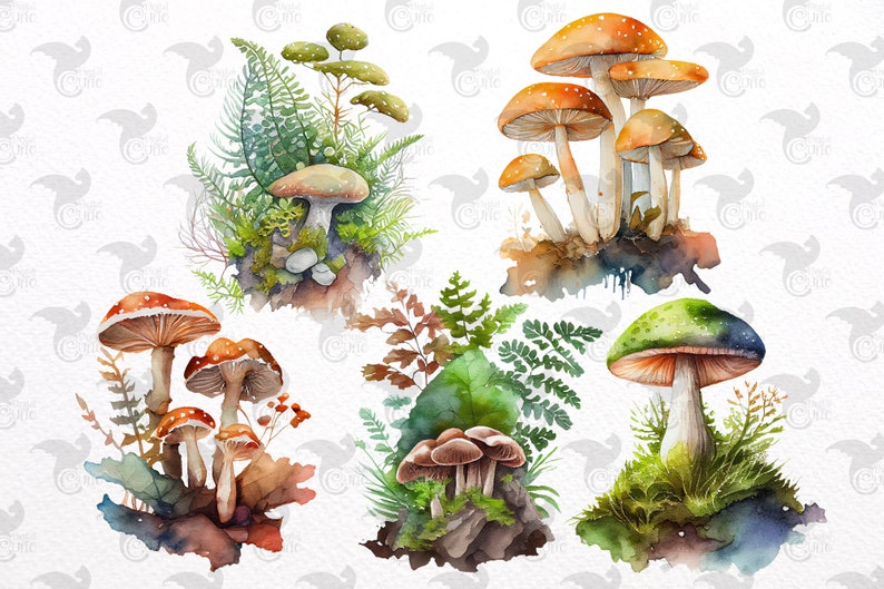 Op de afbeelding: Waterverf illustraties van verschillende paddenstoelen met verschillende gekleurde hoeden en stelen. De paddenstoelen zijn omringd door groene varens en bladeren.