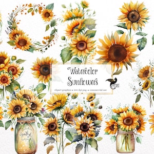 Clipart de tournesols aquarelle - bouquets de fleurs de tournesol d’automne en téléchargement instantané au format PNG pour un usage commercial