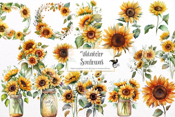 Watercolor Sunflower Clipart – Fall Floral Bouquets (PNG, Digital Download)