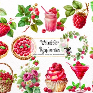 Watercolor Raspberry Clipart - digital png raspberry graphics for instant download commercial use
