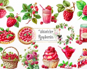 Watercolor Raspberry Clipart - digital png raspberry graphics for instant download commercial use