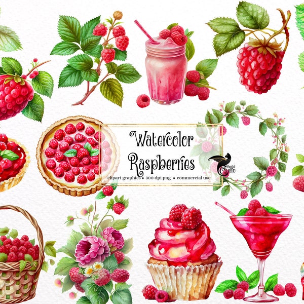 Watercolor Raspberry Clipart - digital png raspberry graphics for instant download commercial use