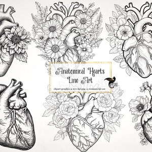 Puede incluir: Cinco ilustraciones en blanco y negro de corazones anatómicos con arreglos florales. Los corazones son detallados y realistas, con cámaras y vasos visibles. Las flores son estilizadas y delicadas, agregando un toque de belleza a las ilustraciones anatómicas.
