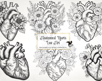 Imágenes prediseñadas de arte lineal del corazón anatómico – Gráficos florales, hojas de collage (descarga digital)