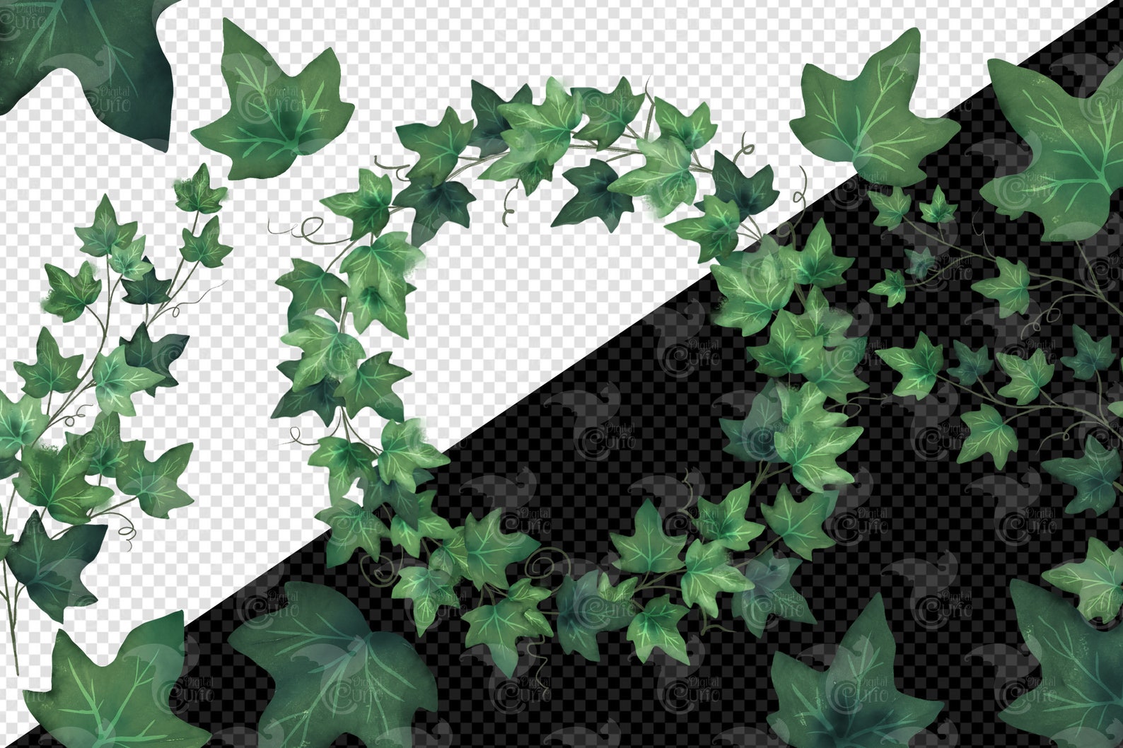 Watercolor Ivy Clip Art Digital Climbing Ivy Vines Clipart Etsy
