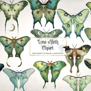 Luna Motte Clipart - digitale Illustration im PNG Clip Art Format Sofort-Download für kommerzielle Nutzung