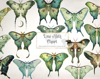 Luna Moth Clipart – Digital Illustrations, Commercial Use (PNG)