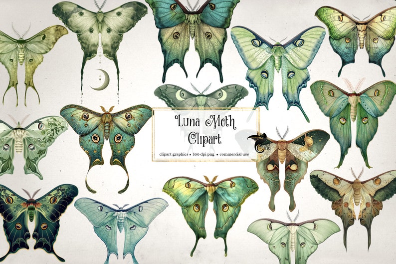 Puede incluir: Un conjunto de 12 im&aacute;genes digitales de polillas luna verdes y azules con detalles intrincados. Las polillas est&aacute;n ilustradas en un estilo vintage con un efecto acuarela. El texto "Luna Moth Clipart" se muestra en un marco dorado.