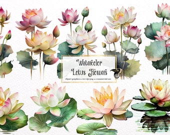 Aquarell Lotus Clipart - Seerosenblatt Teich PNG, kommerzielle Nutzung (digitaler Download)