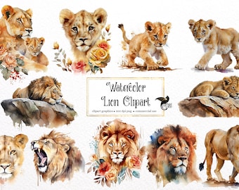 Aquarell Löwe Clipart - afrikanische Tiere PNG, kommerzielle Nutzung (digitaler Download)
