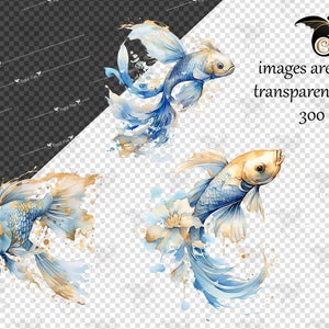 Puede incluir: Tres ilustraciones de acuarela de peces betta azules y dorados con aletas y colas flotantes. Los peces est&aacute;n sobre un fondo blanco con salpicaduras de pintura azul y dorada.