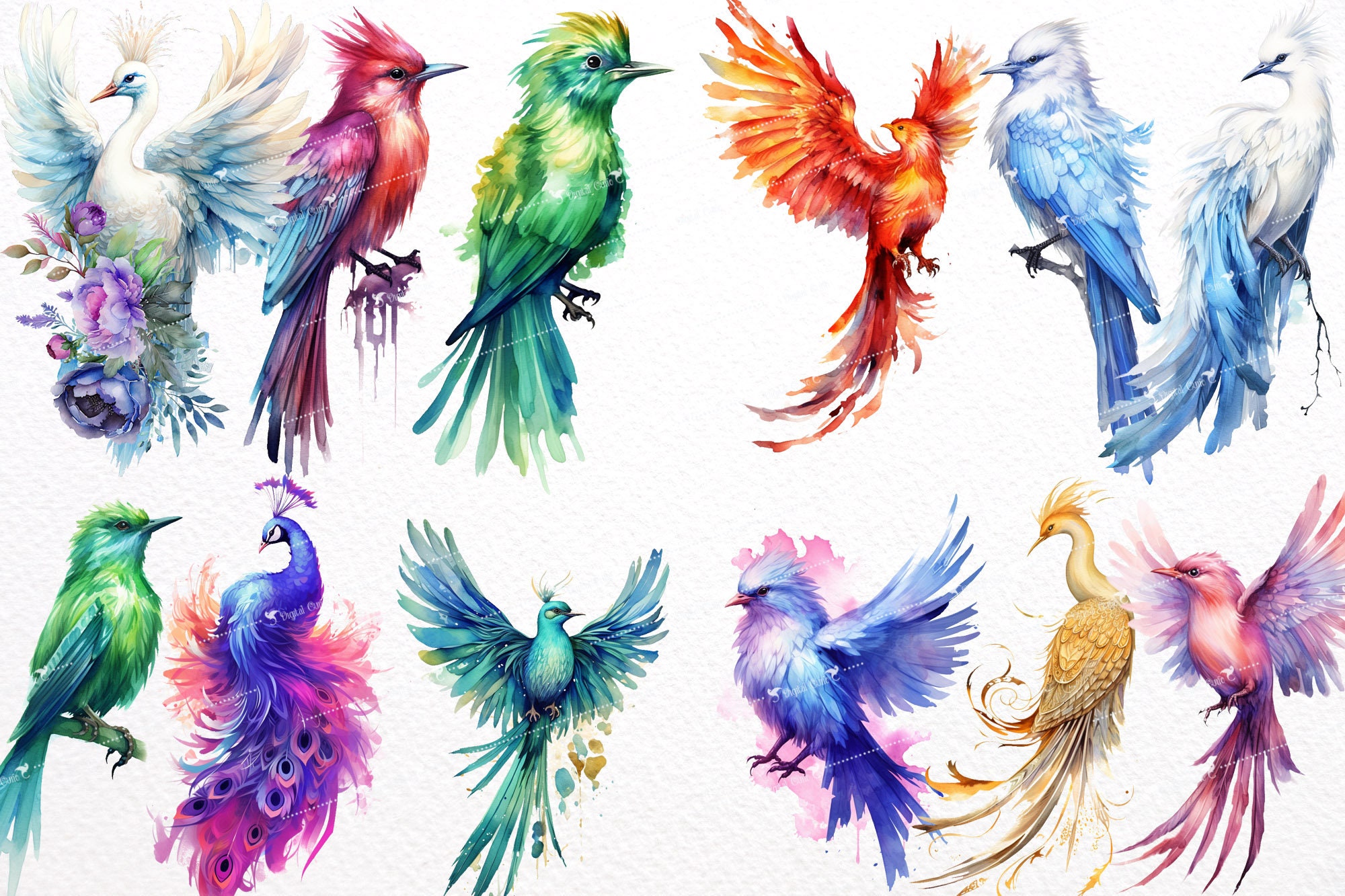 Clipart aquarel fantasievogels – Floral Bird PNG-afbeeldingen (commercieel  gebruik) - Etsy België, image size:2000x1333