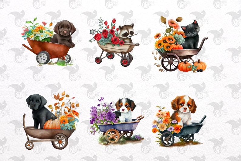 May include: Six illustrations of wheelbarrows filled with flowers and pumpkins. Each wheelbarrow has a different animal sitting in it, including a raccoon, a black cat, a brown puppy, a black puppy, and two brown and white puppies.