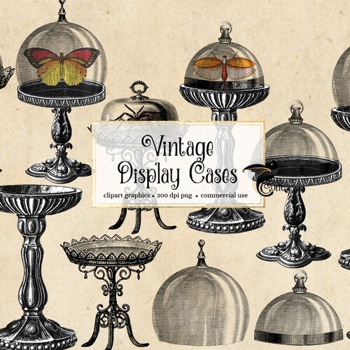 Vintage Display Cases Clip Art Antique Illustrations of Etsy
