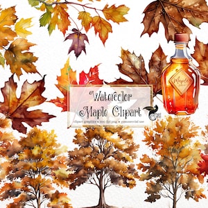 Clipart d'érable aquarelle - feuilles d'érable d'automne et branches téléchargement instantané au format PNG pour un usage commercial
