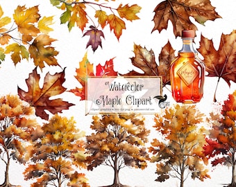 Watercolor Maple Clipart – Autumn Leaves & Branches (PNG, Digital Download)