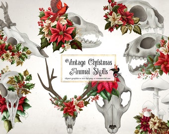 Vintage Christmas Animal Skulls Clipart - poinsettia flower skulls in PNG format instant download for commercial use