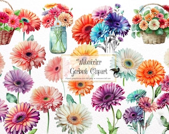 May include: Watercolor clipart featuring a variety of colorful gerbera daisies in different arrangements. The daisies are in baskets, jars, and bouquets. The text "Watercolor Gerbera Clipart" is included in the image.