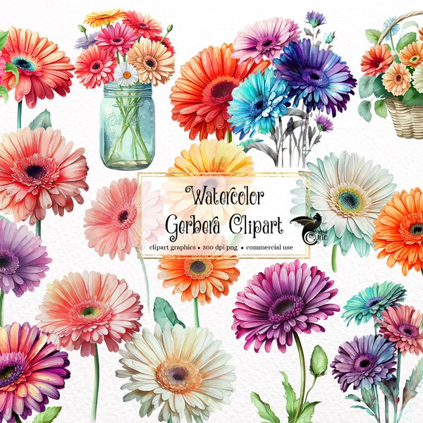 Watercolor Gerbera Clipart - colorful daisies in PNG format instant download for commercial use