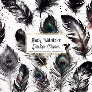 Black Watercolor Feathers Clipart, painted feather clipart illustrations, PNG graphics, scrapbook embellishments commercial use