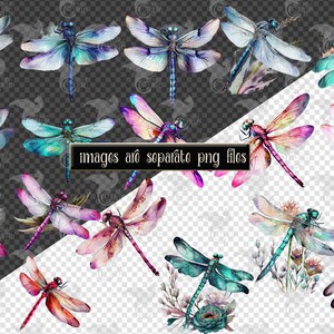 May include: A collection of watercolor dragonfly illustrations with various colors and wing patterns. The dragonflies are depicted with intricate details and are set against a transparent background.