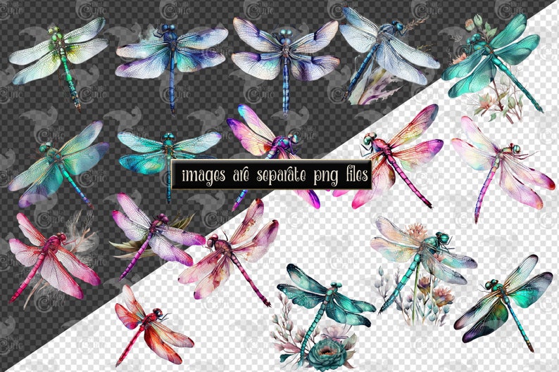 May include: A collection of watercolor dragonfly illustrations with various colors and wing patterns. The dragonflies are depicted with intricate details and are set against a transparent background.