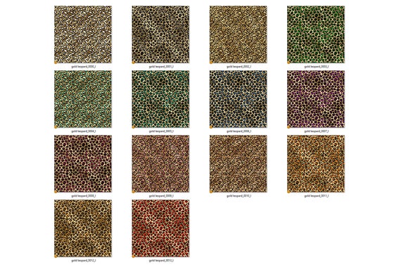12x12 cardstock shop cheetahs & leopards - variety pack cardstock