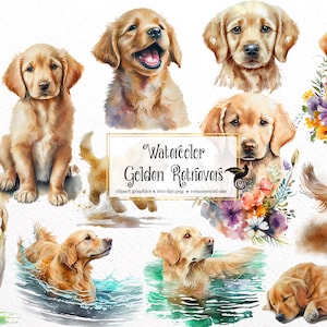 Aquarell Golden Retriever Clipart - süße Hunde und Welpen PNG format sofortiger Download für kommerzielle Nutzung