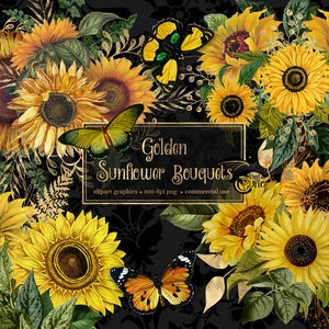 Golden Sunflower Bouquets Clipart, antique illustrations of yellow sun flowers in PNG format instant download for commercial use