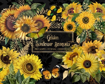 Golden Sunflower Bouquets Clipart, antique illustrations of yellow sun flowers in PNG format instant download for commercial use