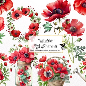 Watercolor Red Anemone Clipart - spring floral poppy in PNG format instant download for commercial use