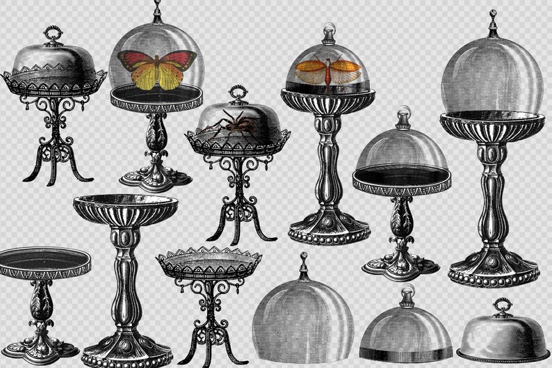 Vintage Display Cases Clip Art Antique Illustrations of Etsy