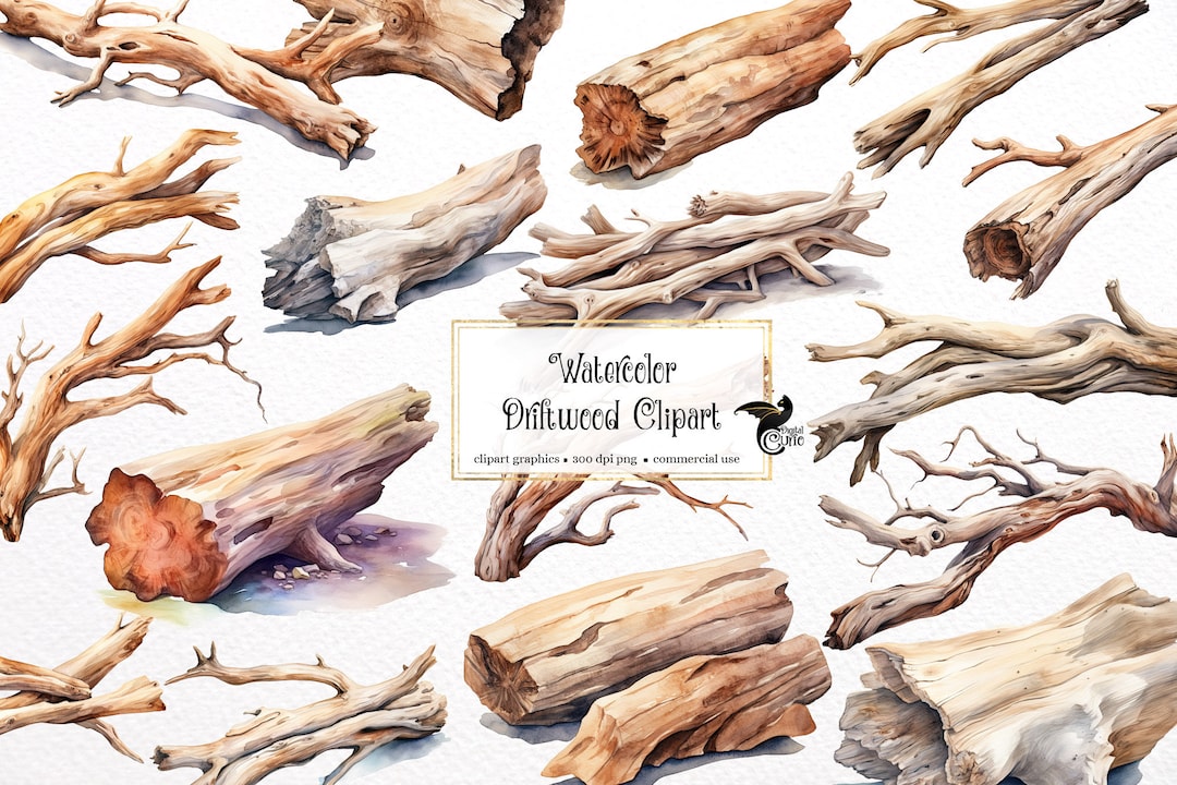 Watercolor Driftwood Clipart - Beach and Nature PNG Format Instant ...