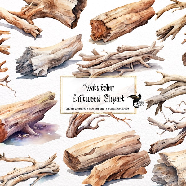 Watercolor Driftwood Clipart - beach and nature PNG format instant download for commercial use