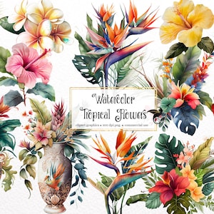 Watercolor Tropical Flowers Clipart - hibiscus and plumeria, bird of paradise PNG format instant download for commercial use