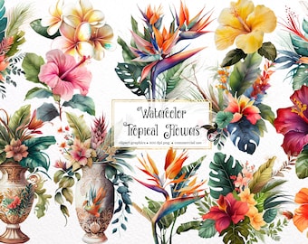 Watercolor Tropical Flower Clipart – Hibiscus, Plumeria, Bird of Paradise (PNG, Commercial Use)