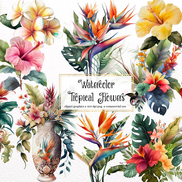 Watercolor Tropical Flowers Clipart - hibiscus and plumeria, bird of paradise PNG format instant download for commercial use