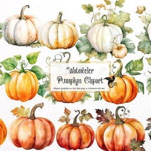 Aquarell Kürbis Clipart - Herbstaquarell im PNG-Format zum sofortigen Download für kommerzielle Nutzung