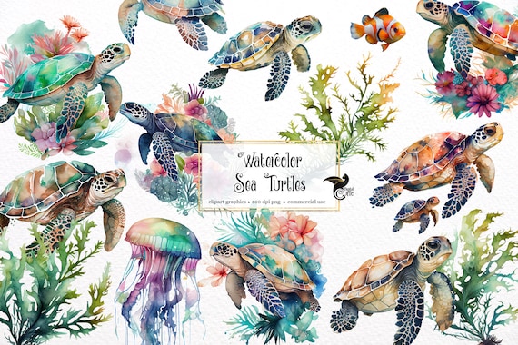 Watercolor Sea Turtle Clipart, Ocean Animals PNG (Digital Download)