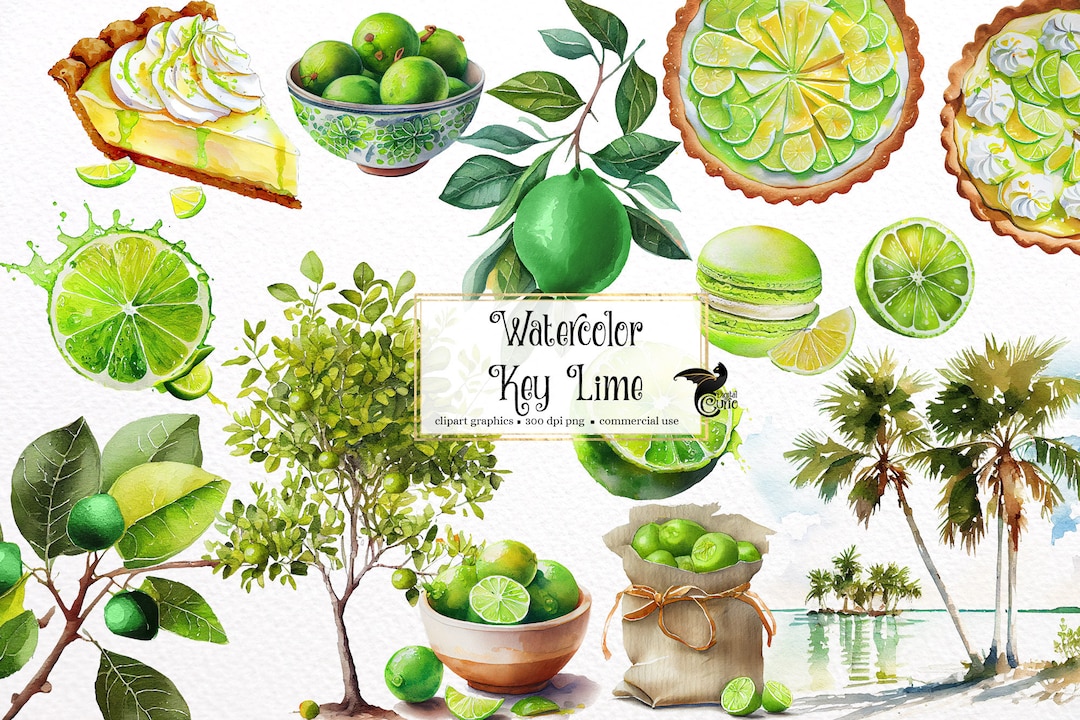 Watercolor Key Lime Clipart Digital Png Key Lime Pie, Citrus Graphics
