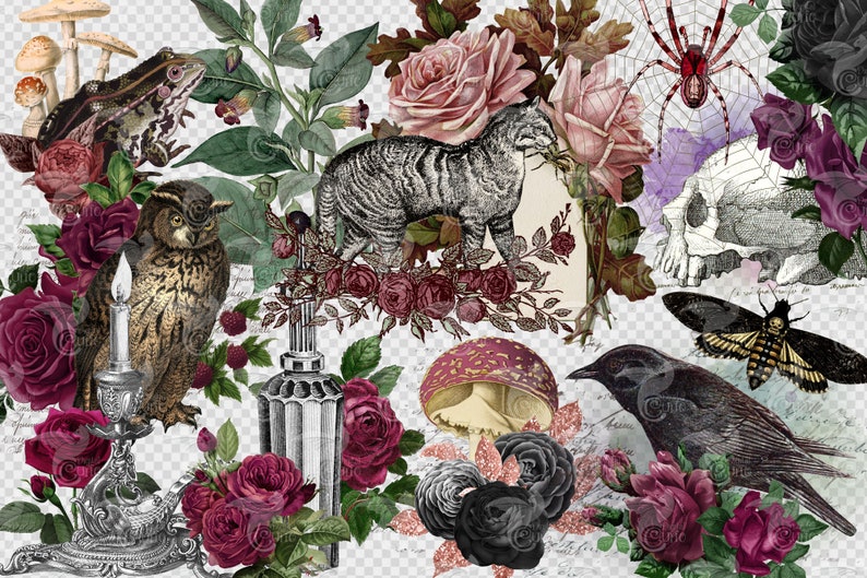 May include: A digital collage featuring a variety of vintage illustrations, including a cat, owl, frog, spider, crow, moth, mushrooms, and roses. The images are layered and overlapping, creating a whimsical and gothic aesthetic.