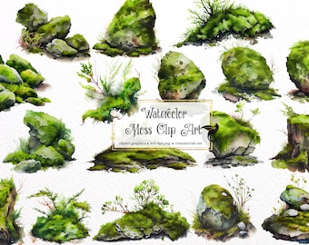 Aquarel mos clipart – bemoste rotsen, stronken botanisch, png (digitale download)