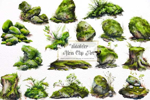 Moss Covered Rocks On A Rainy Day Stock Photo - Download Image Now