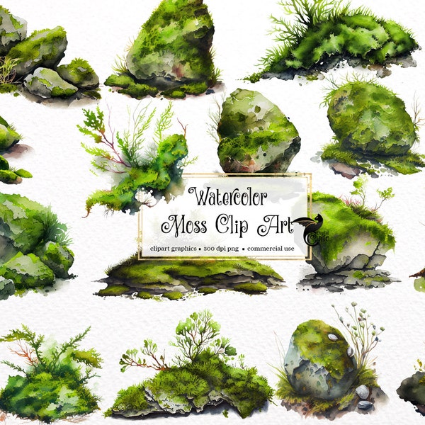 Aquarelle Moss Clipart - rochers moussus et souches botanique PNG format Téléchargement instantané pour un usage commercial