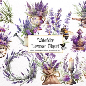 Clipart de lavanda em aquarela - download instantâneo em formato PNG de casamento floral da Provença para uso comercial
